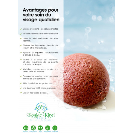 Eponges Konjac Visage - L'Atelier du Tilleul